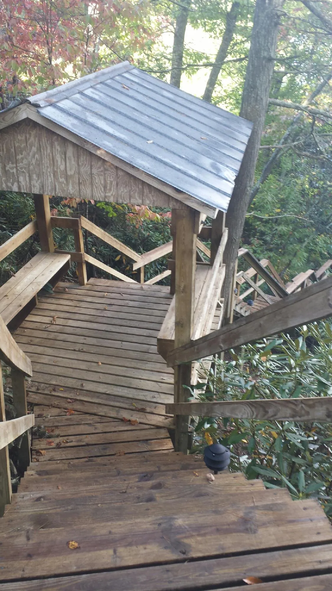 Metal roofed shelter over wooden steps on a wooded walkway — Skylight Repair & Installation work by our crew in Walterboro